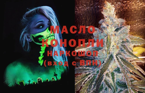 молекула духа Коряжма