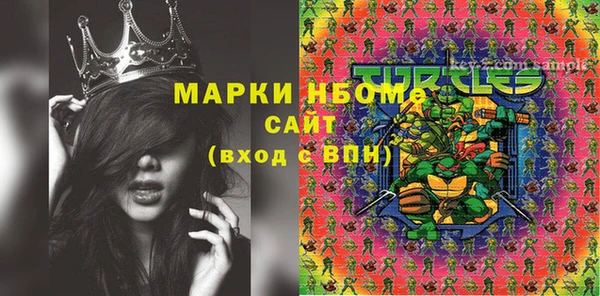 молекула духа Коряжма