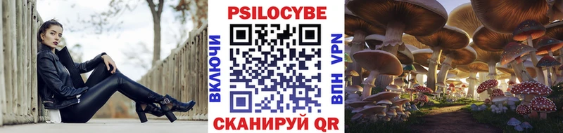 Галлюциногенные грибы Cubensis  Дмитровск 