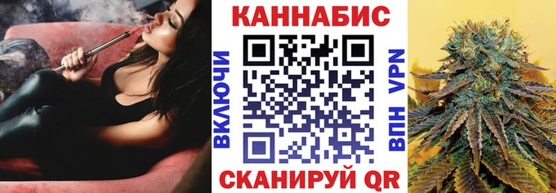закладка  Дмитровск  Бошки марихуана сатива 